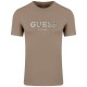 GUESS Μπεζ T-shirt C Neck - GU0APM4YI38J13140000